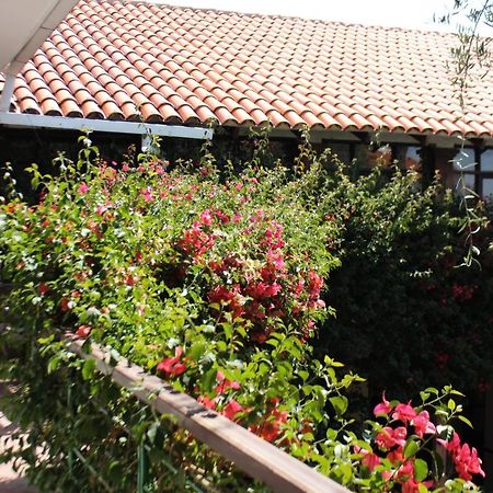 Hostal Viejo Olivo Sucre Esterno foto