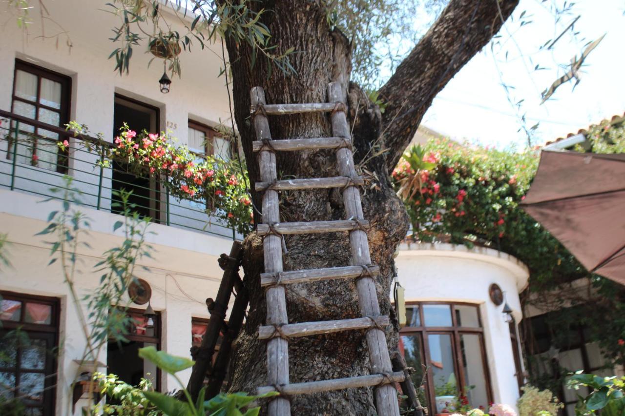 Hostal Viejo Olivo Sucre Esterno foto